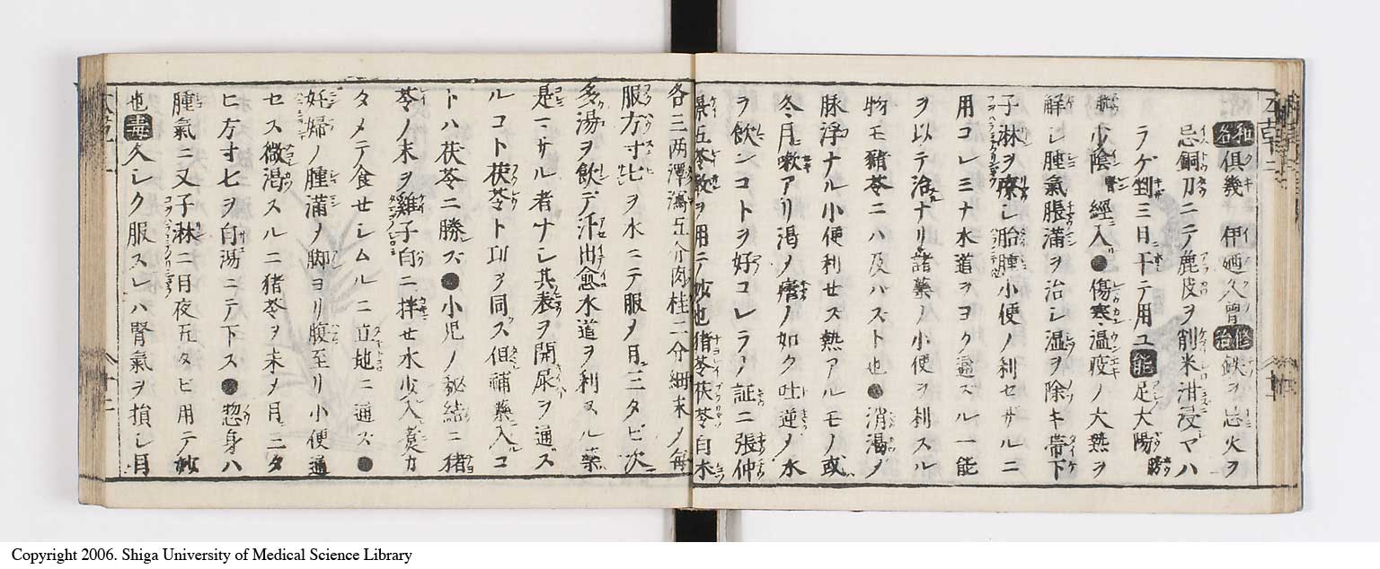K0133l0090