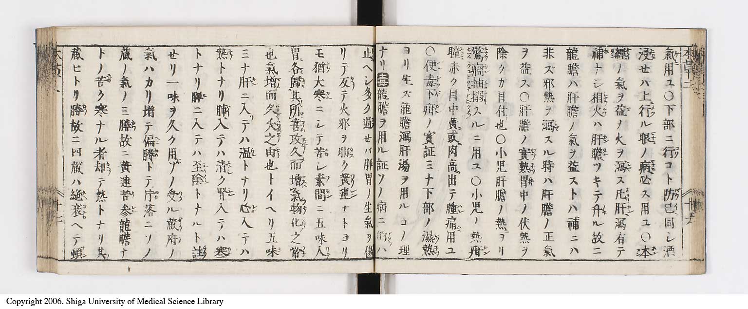 K0133l0095