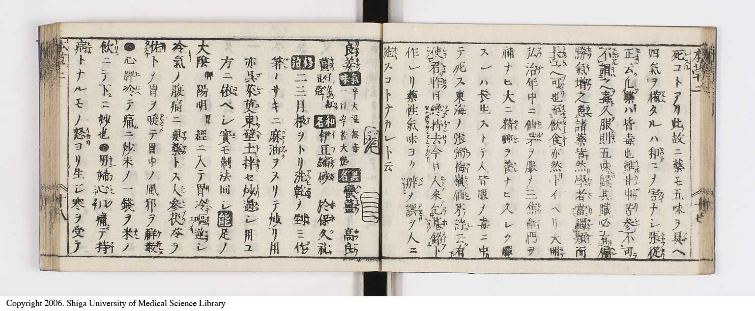 K0133l0096