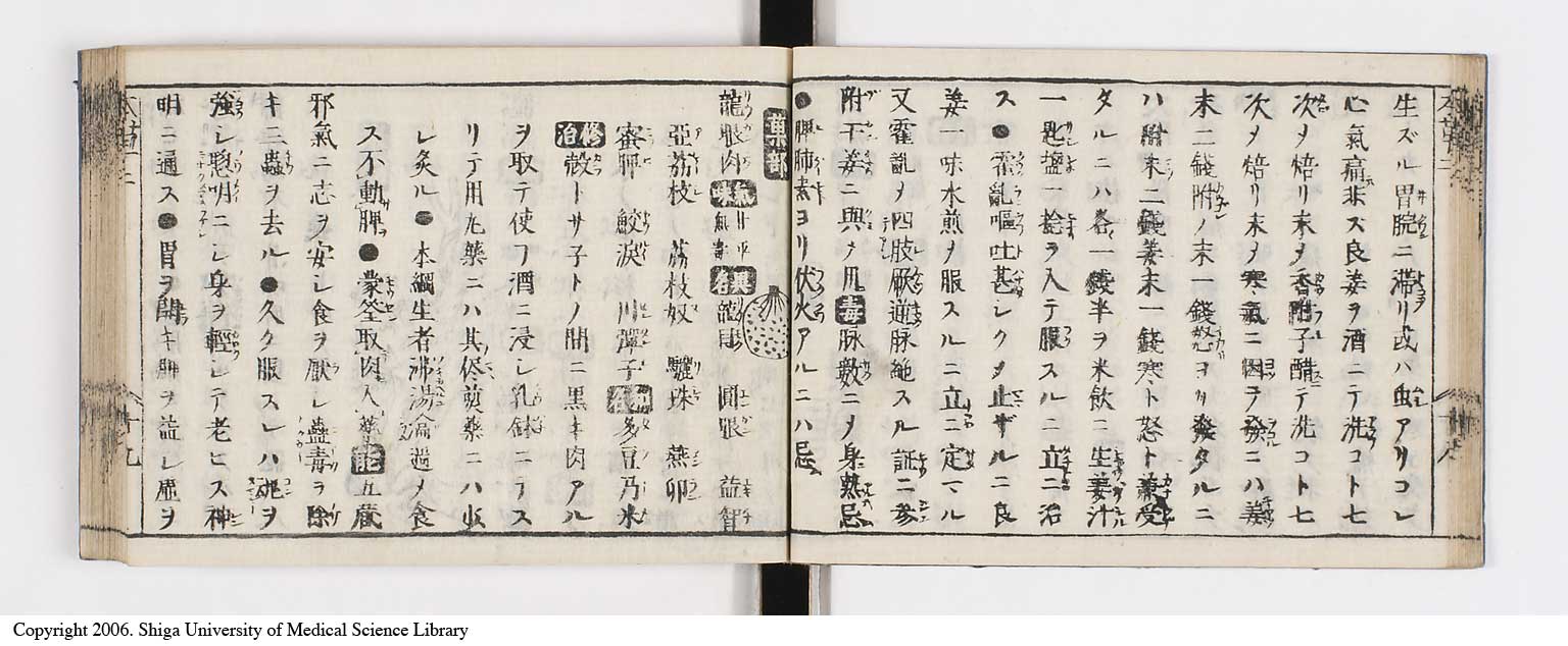 K0133l0097