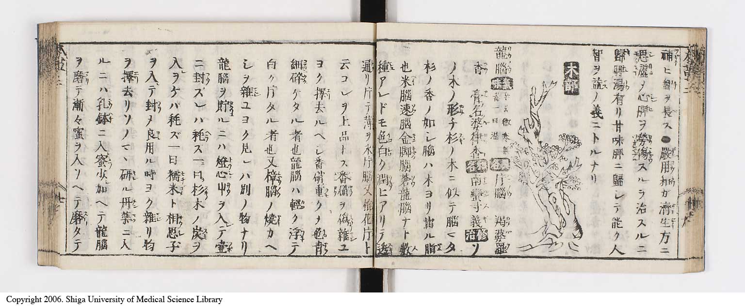 K0133l0098