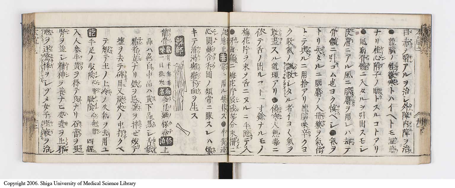 K0133l0100