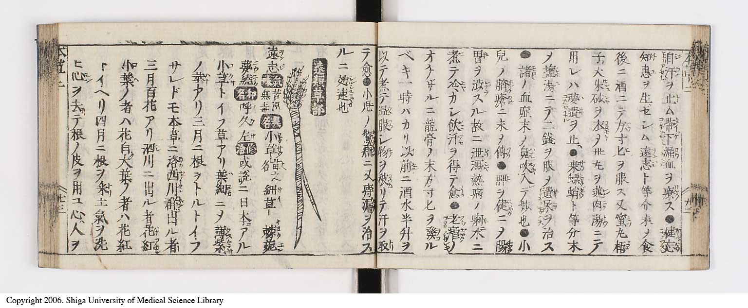K0133l0101