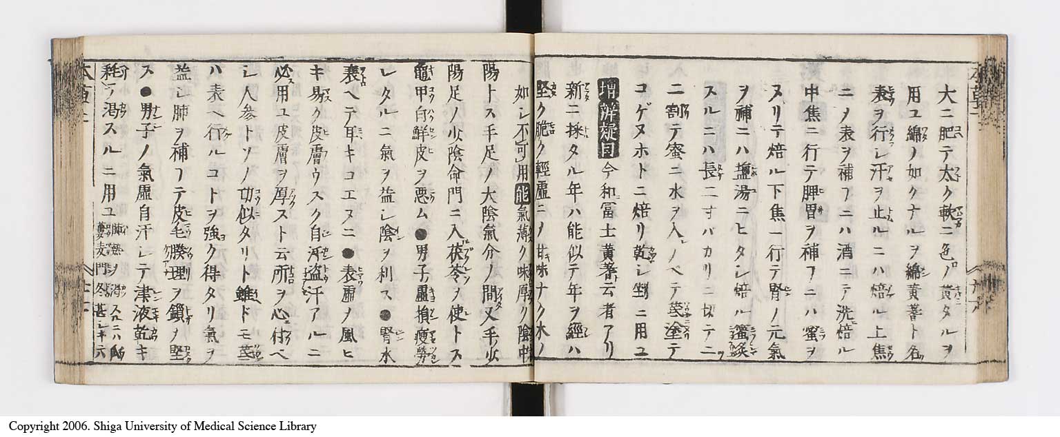 K0133l0105