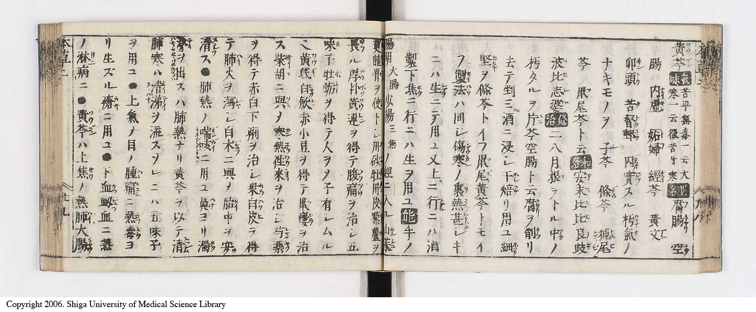 K0133l0107