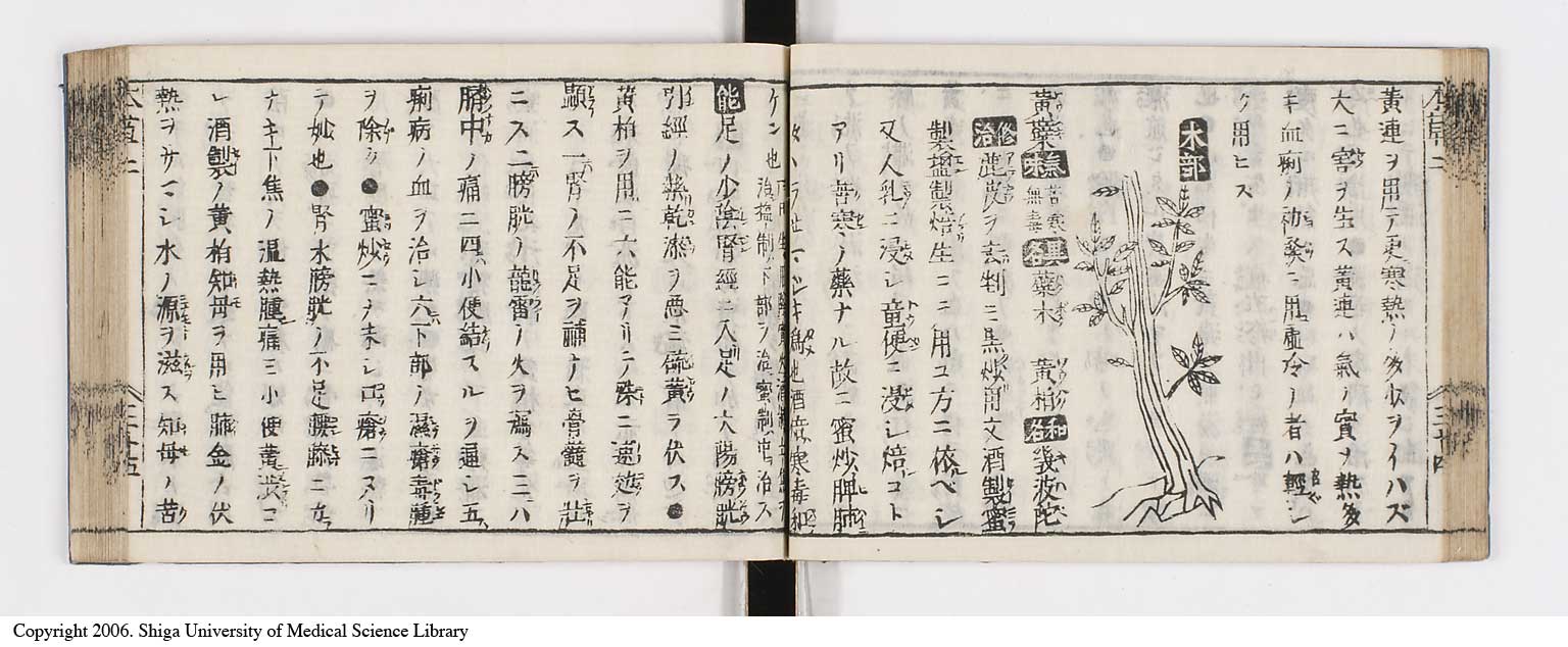 K0133l0113