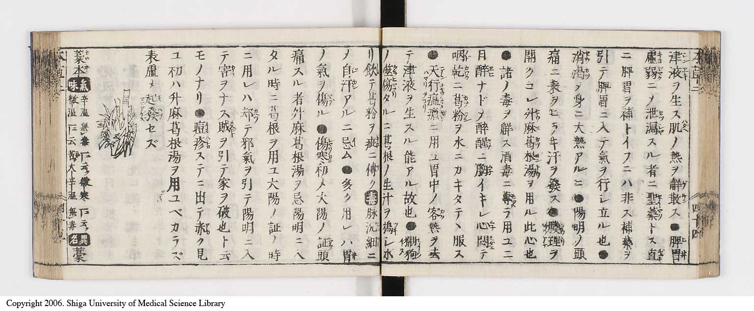 K0133l0123