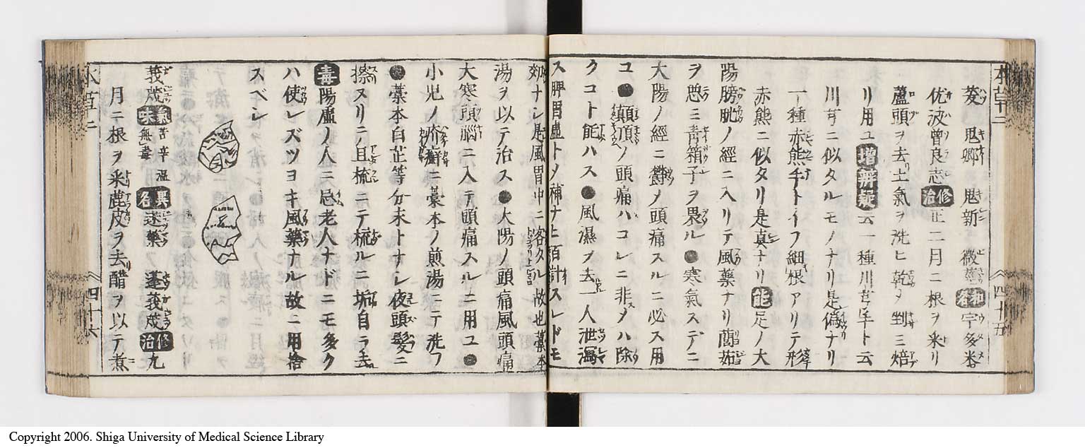 K0133l0124