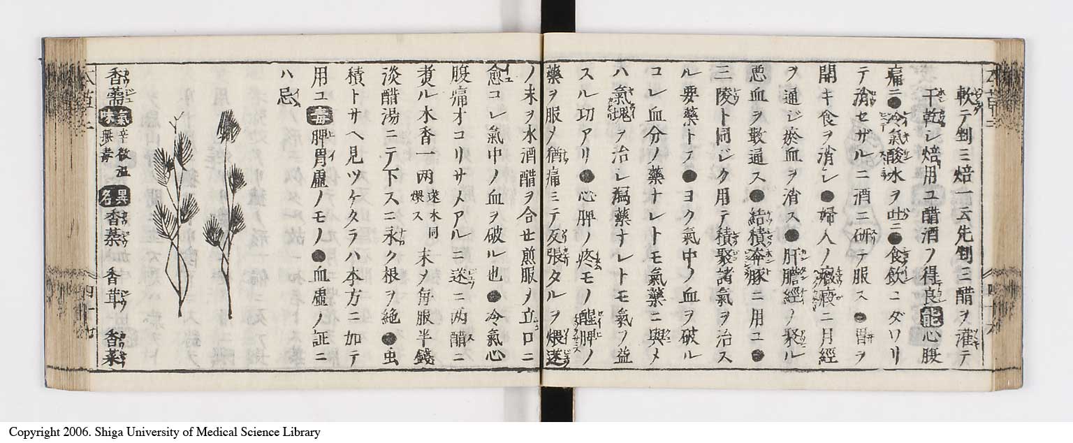 K0133l0125
