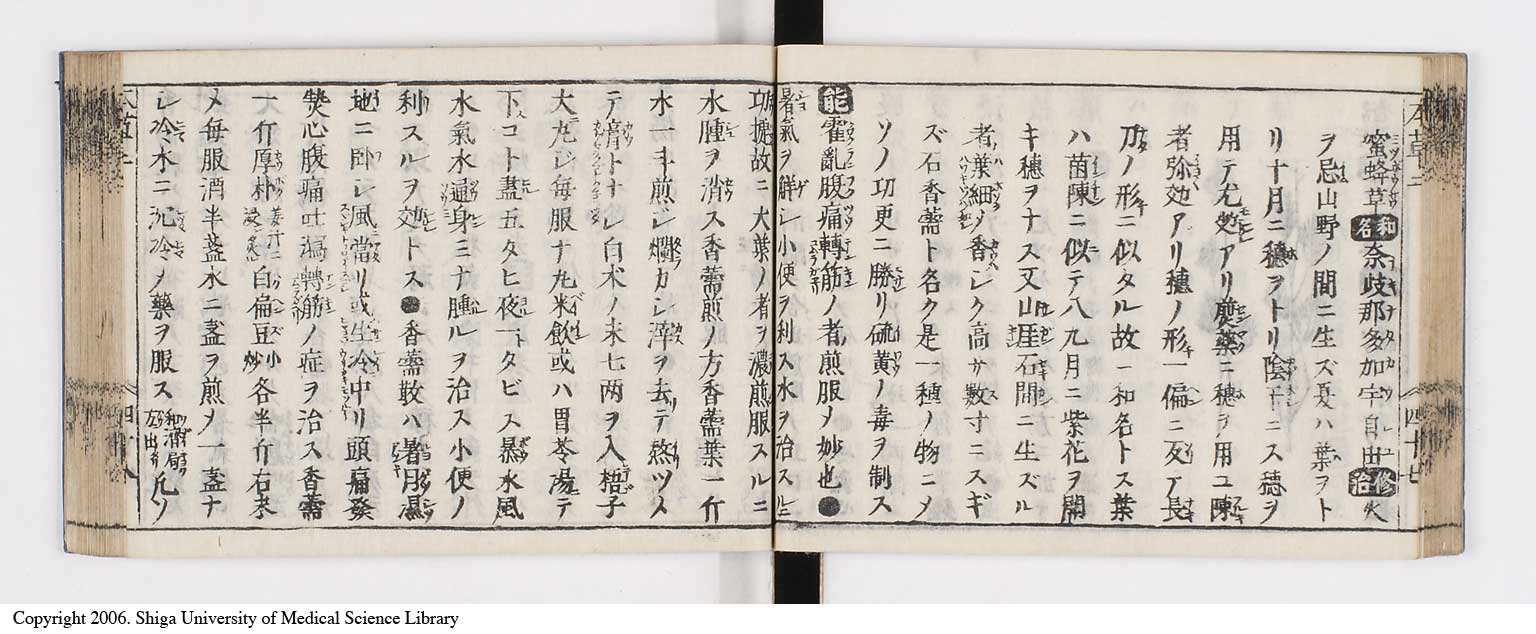 K0133l0126