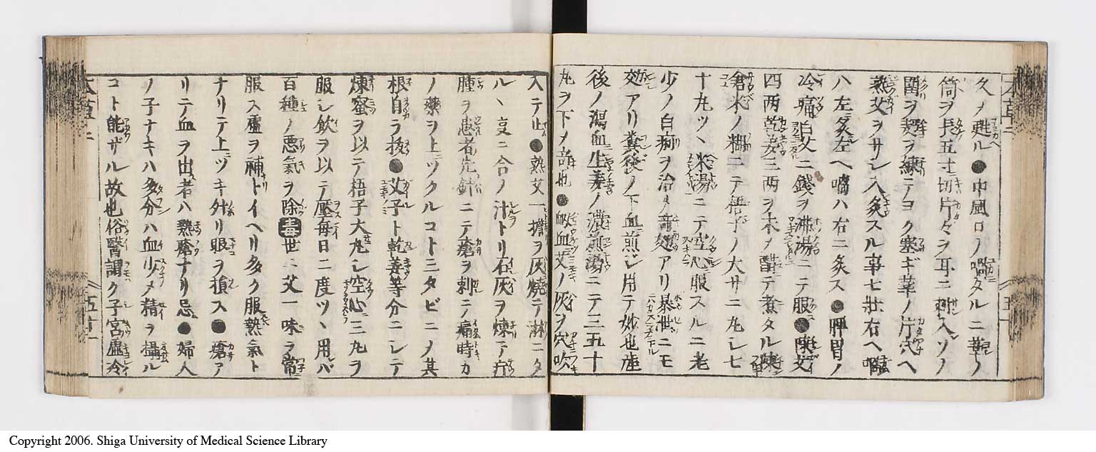 K0133l0129