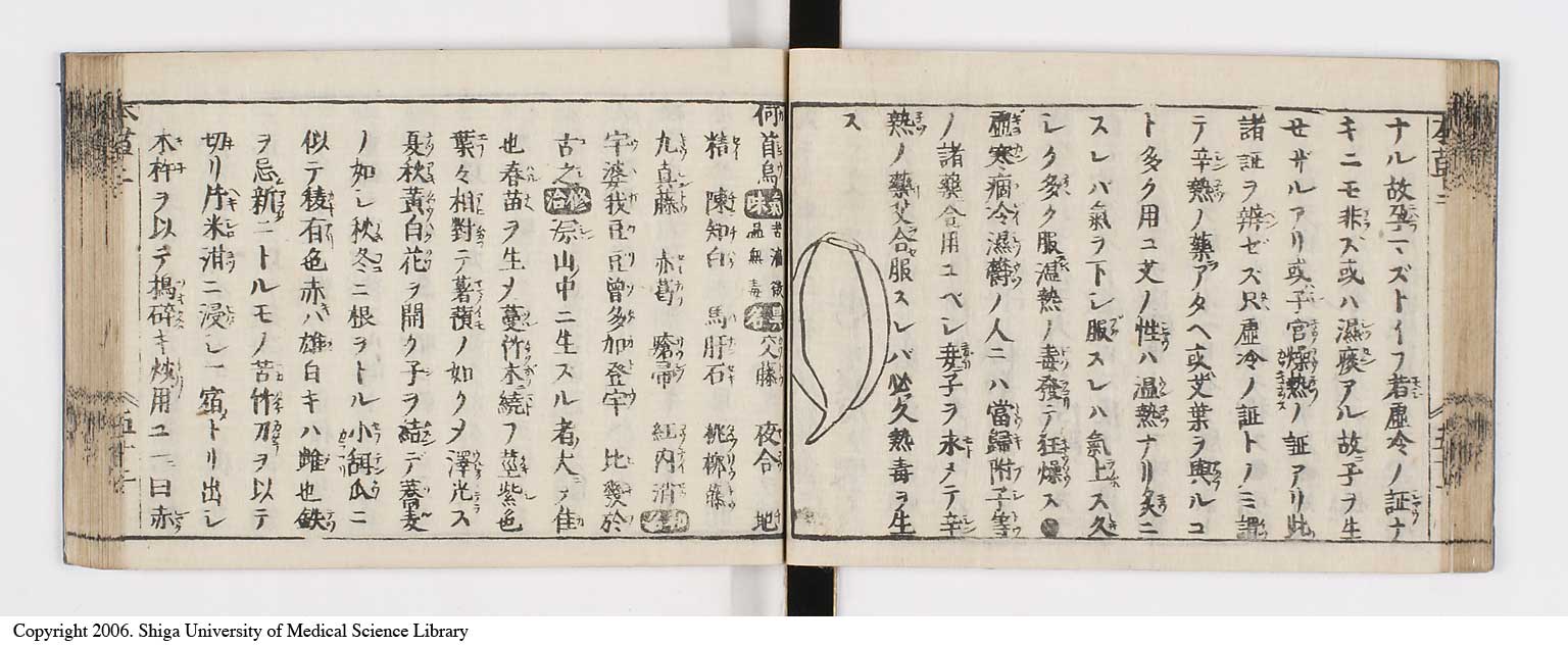 K0133l0130