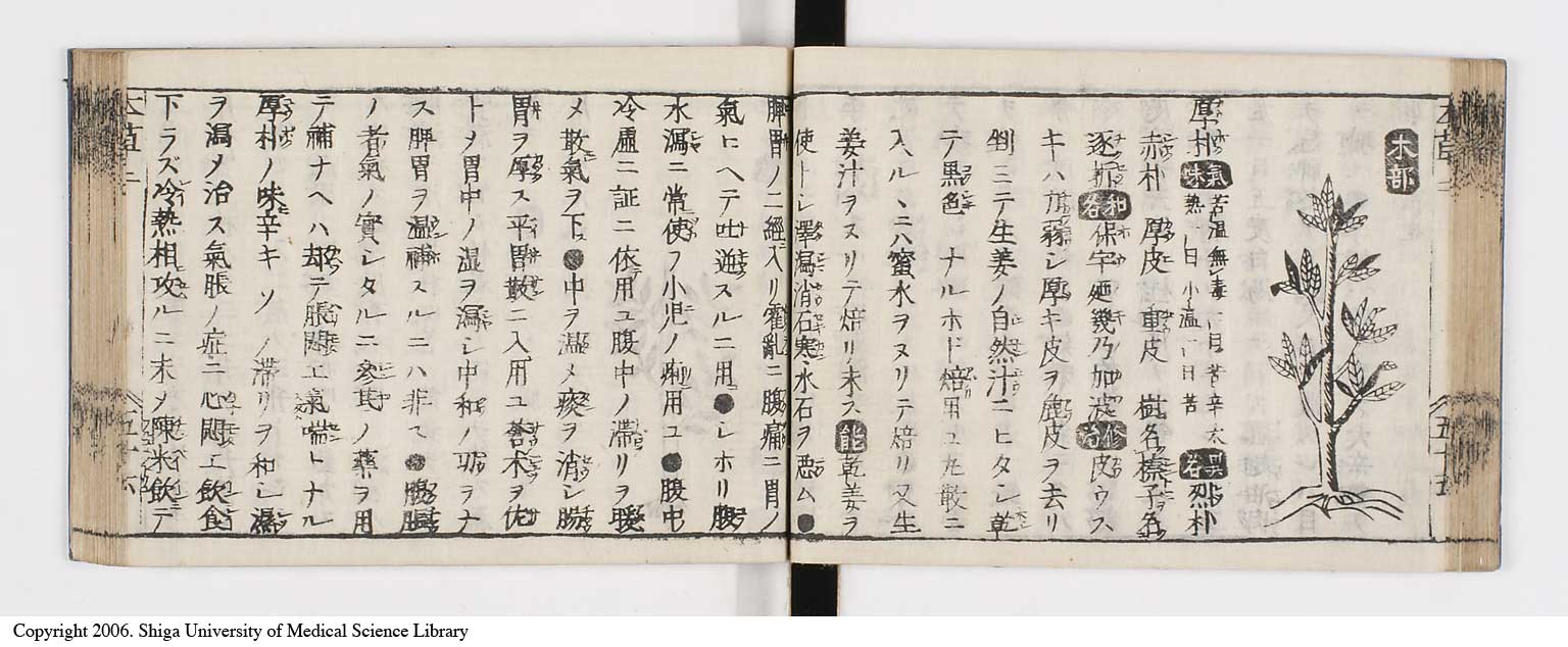 K0133l0134