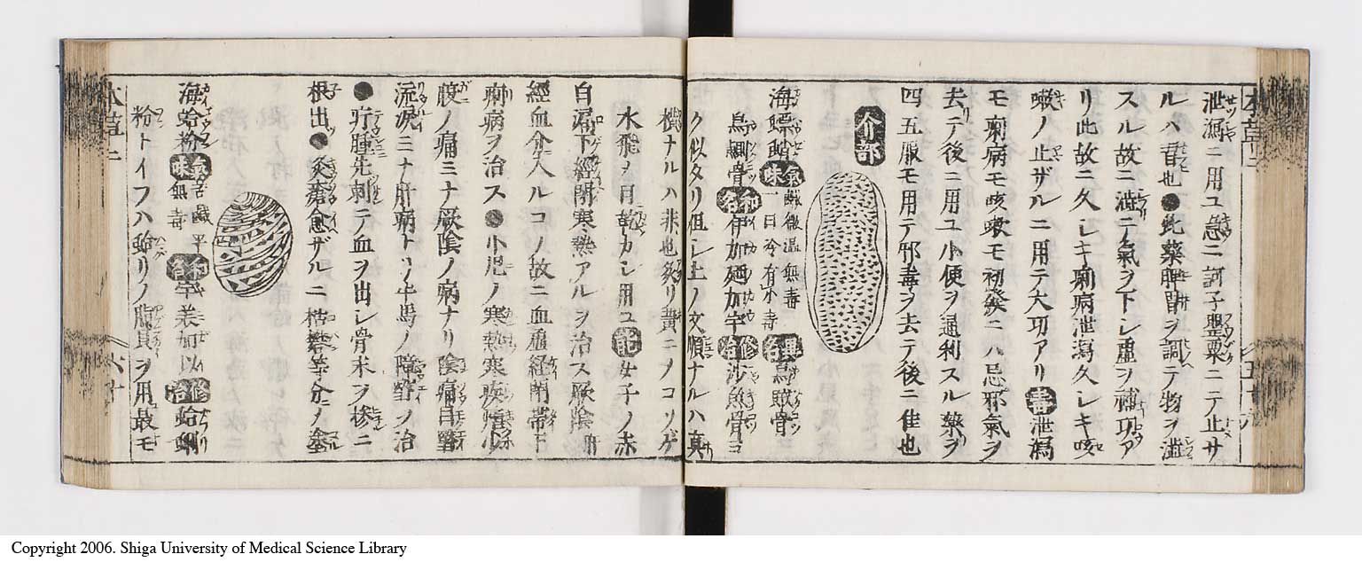 K0133l0138