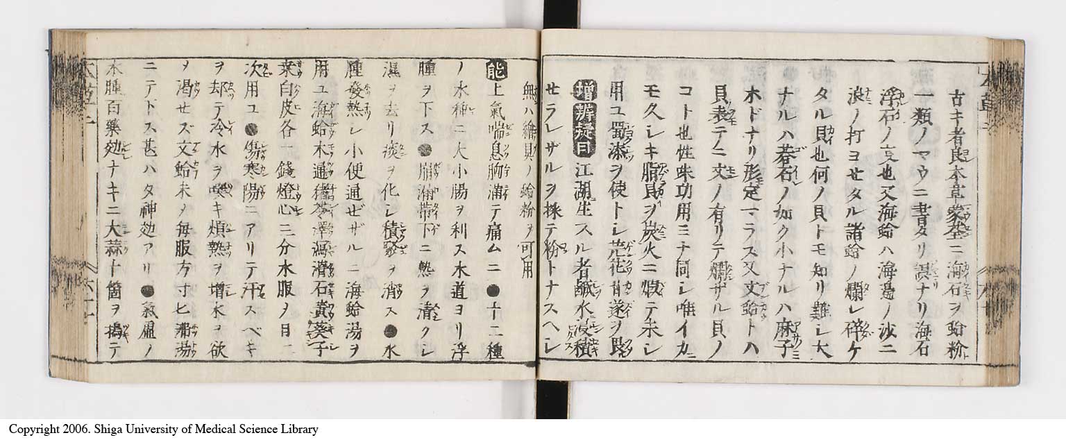 K0133l0139
