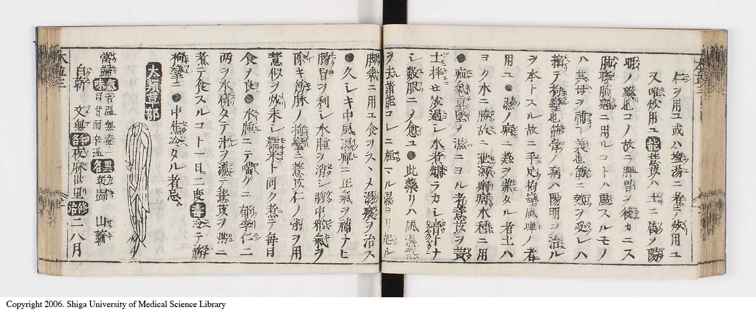 K0133l0145