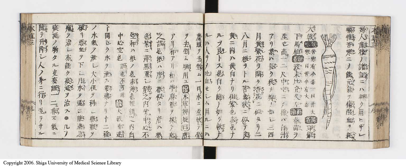 K0133l0152