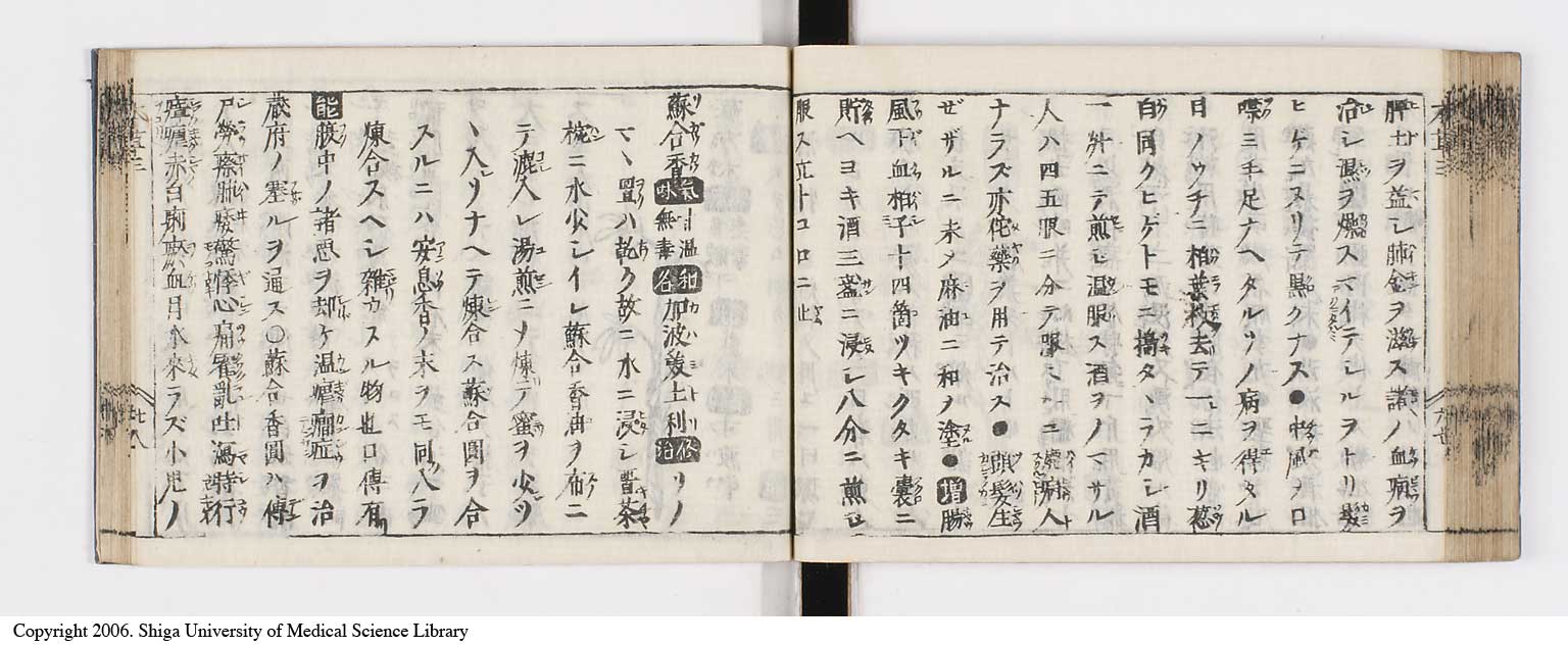 K0133l0171