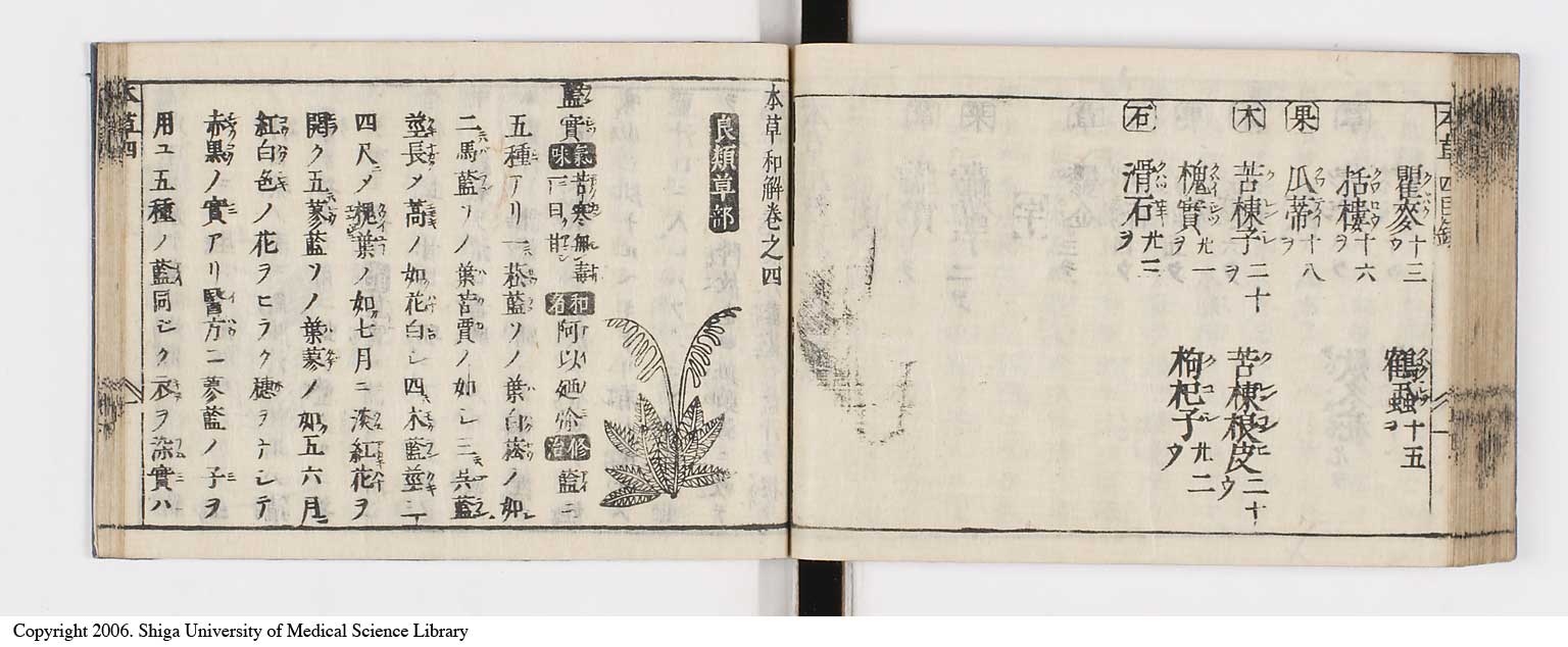 K0133l0176