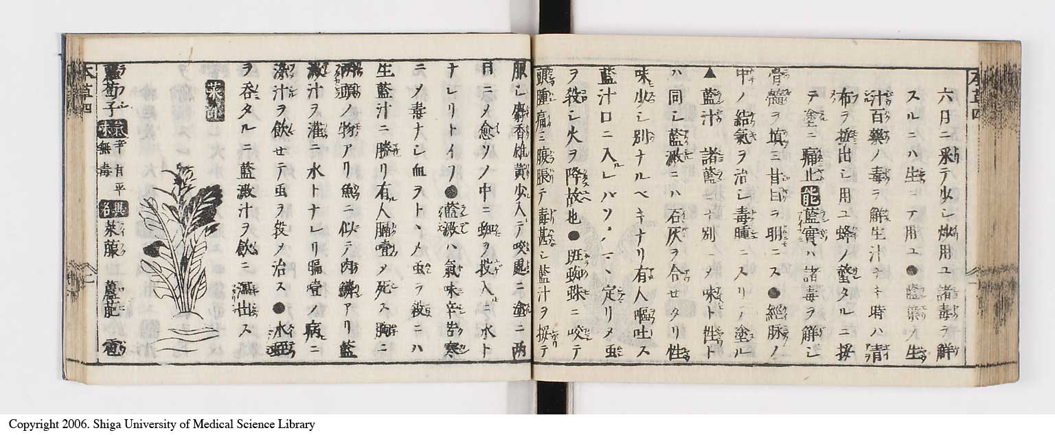 K0133l0177