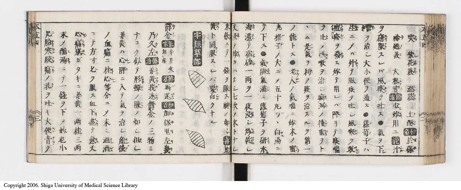 K0133l0178
