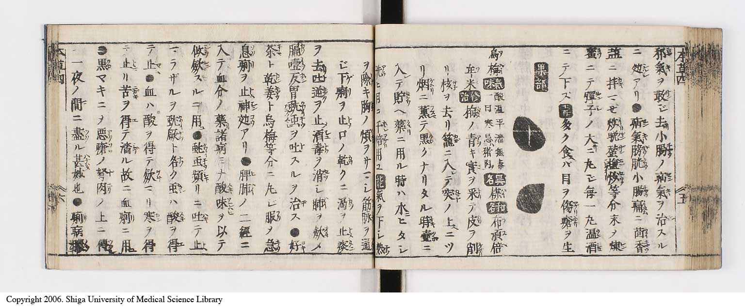 K0133l0181