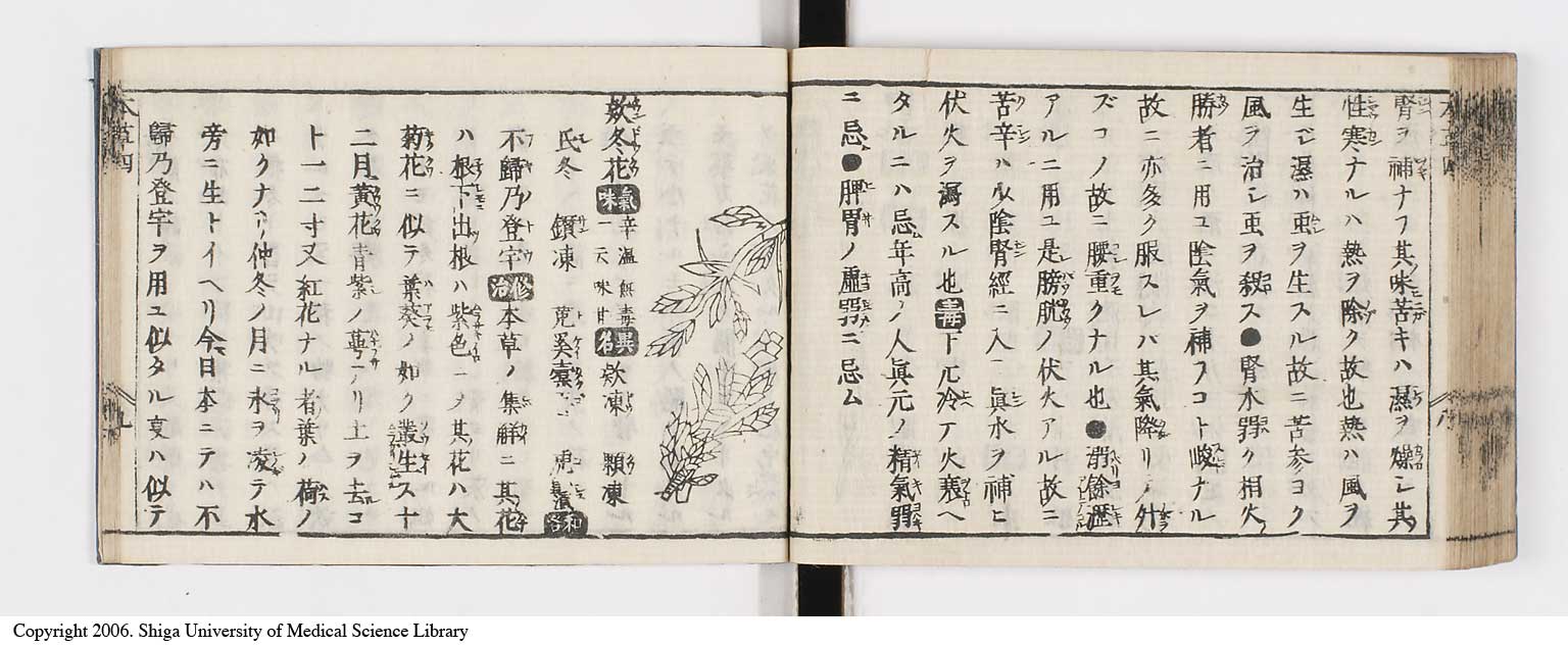 K0133l0184