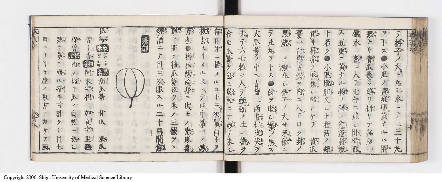 K0133l0193