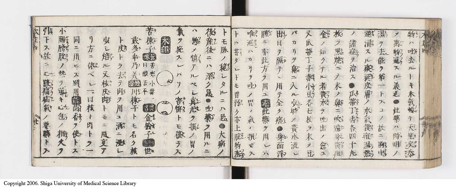 K0133l0195