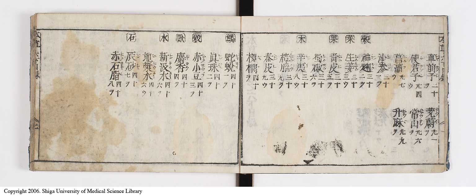 K0133l0204