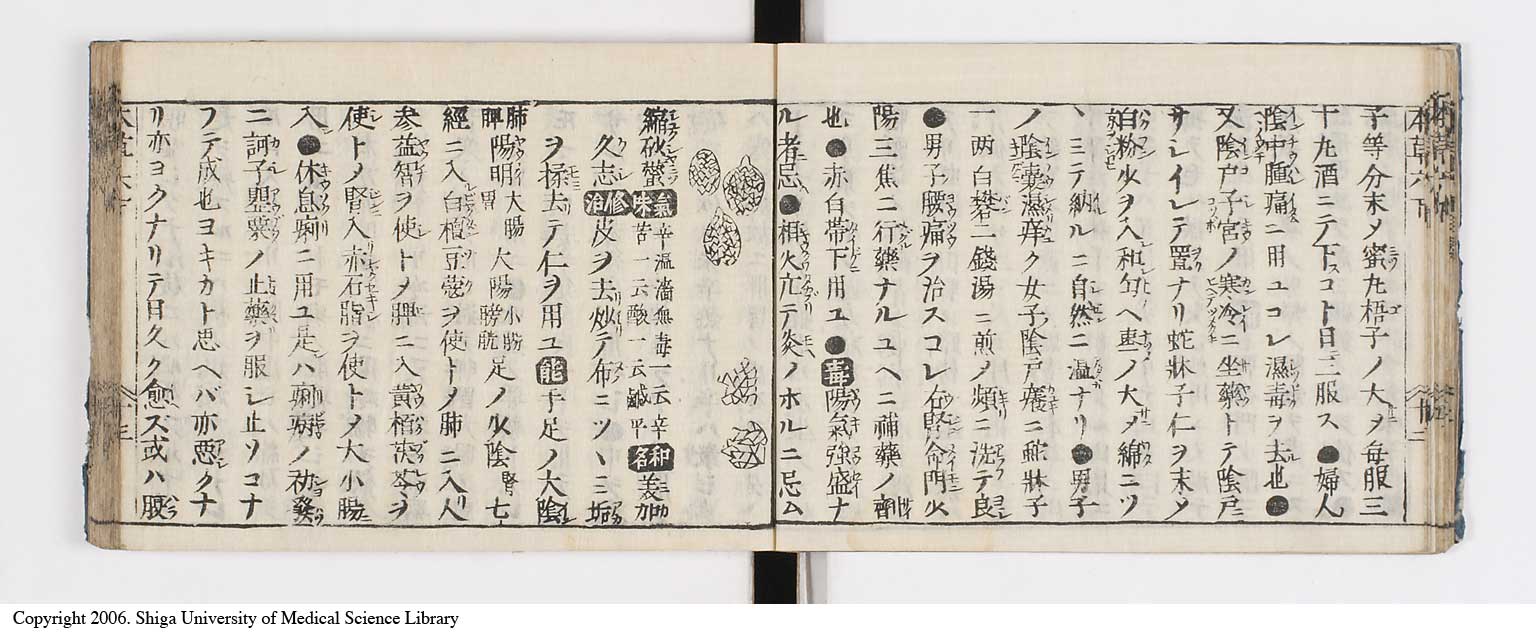 K0133l0217