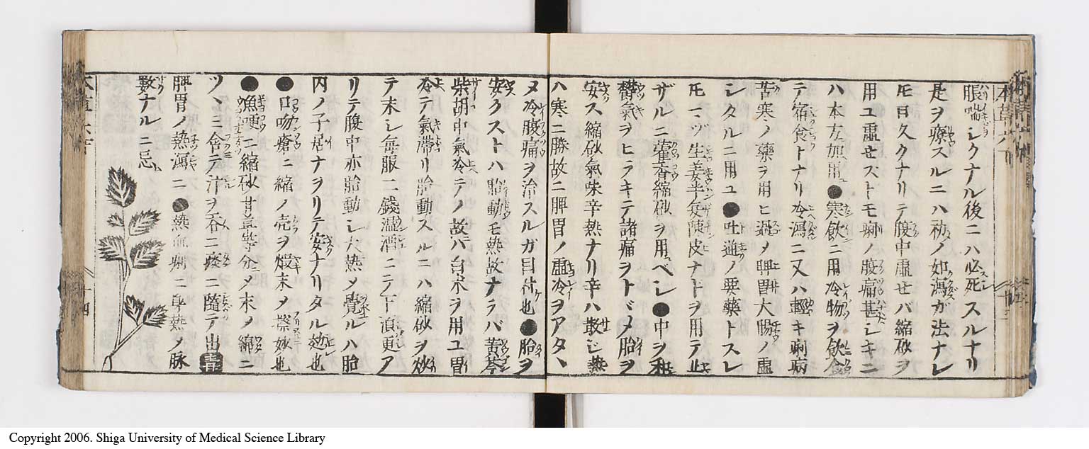 K0133l0218