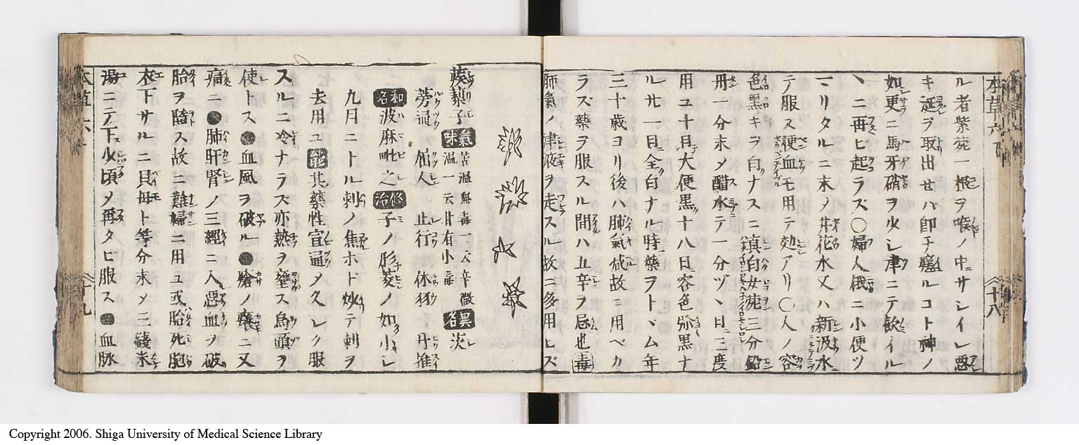 K0133l0223