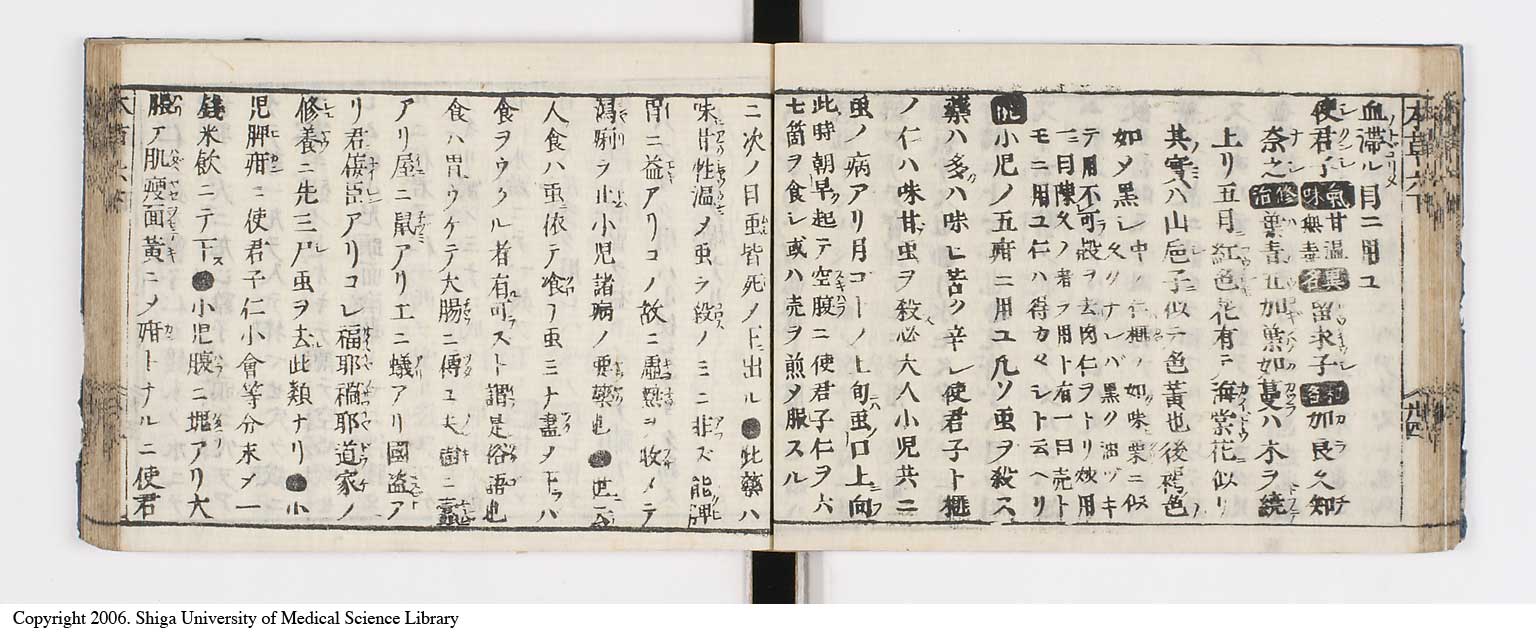 K0133l0229