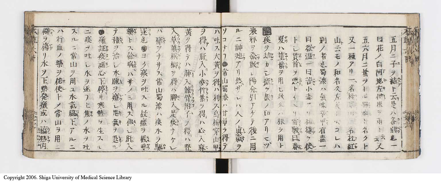 K0133l0231
