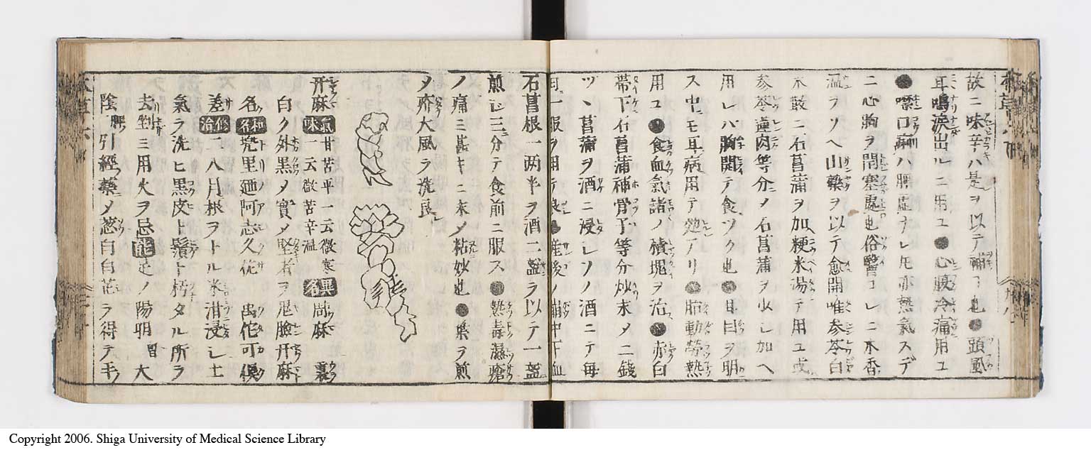 K0133l0233