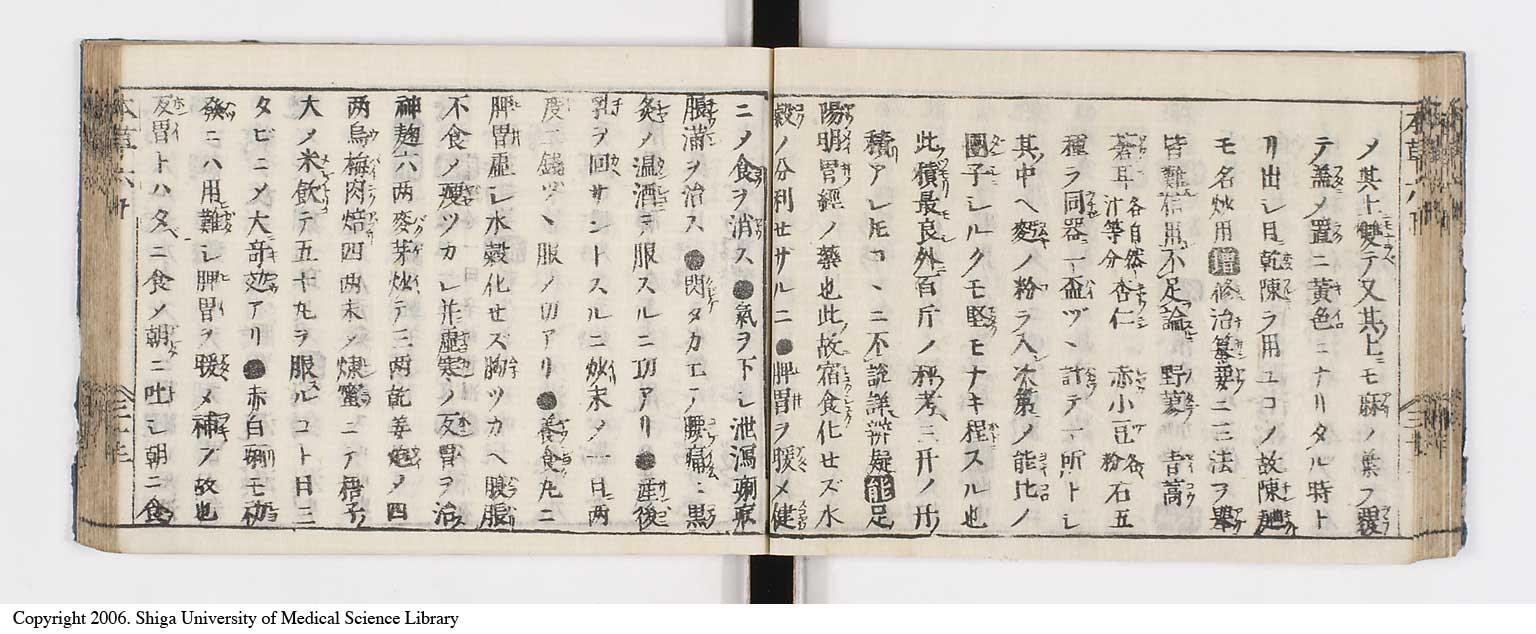 K0133l0237