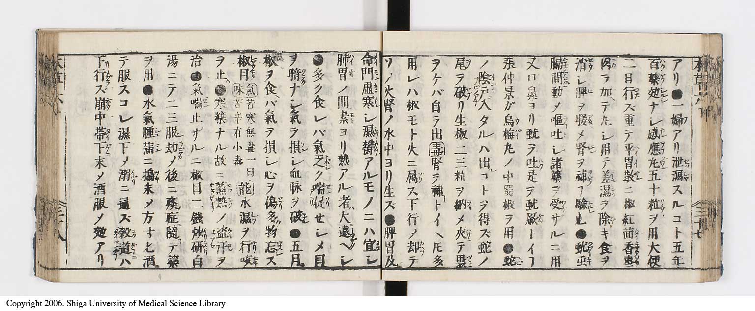 K0133l0242
