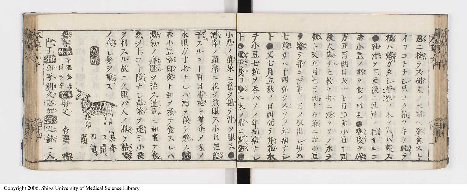 K0133l0248