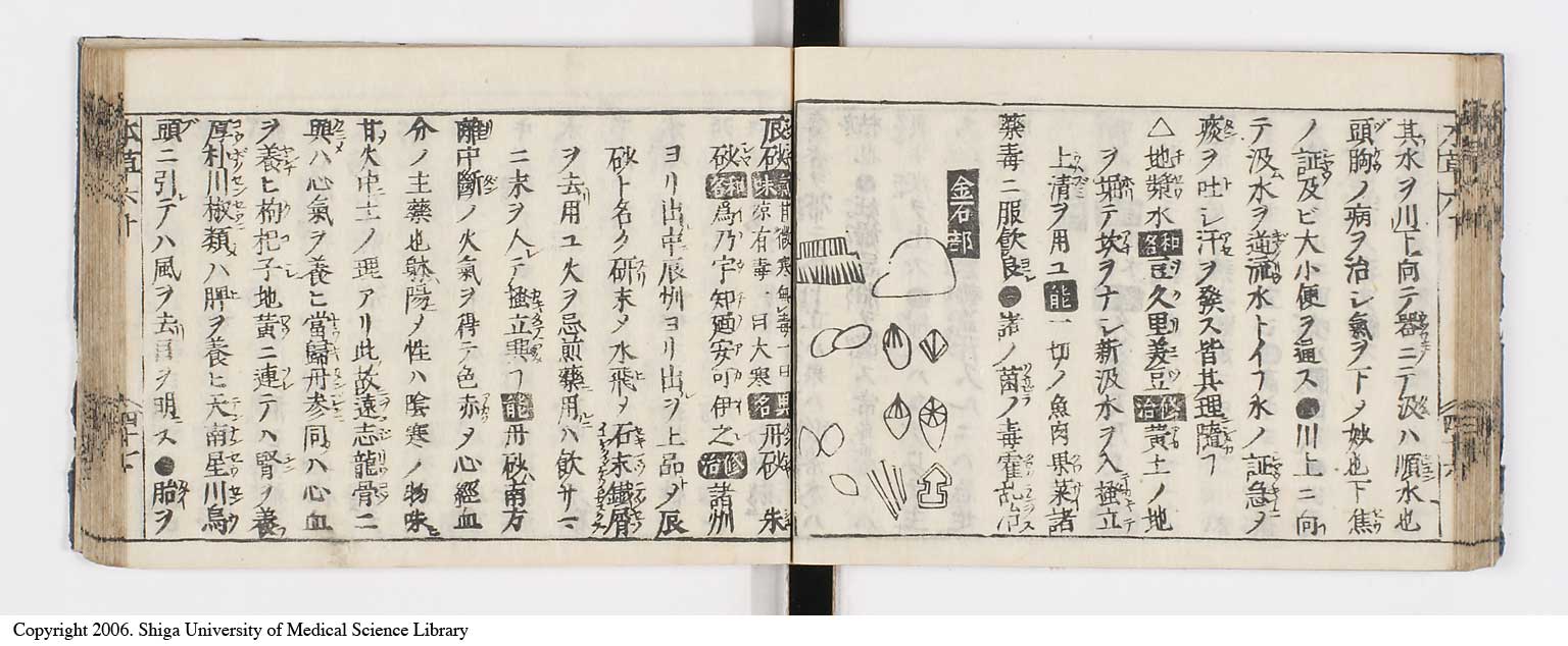 K0133l0251