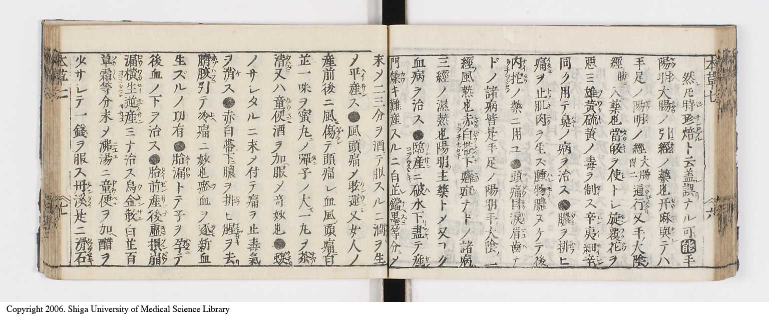 K0133l0262