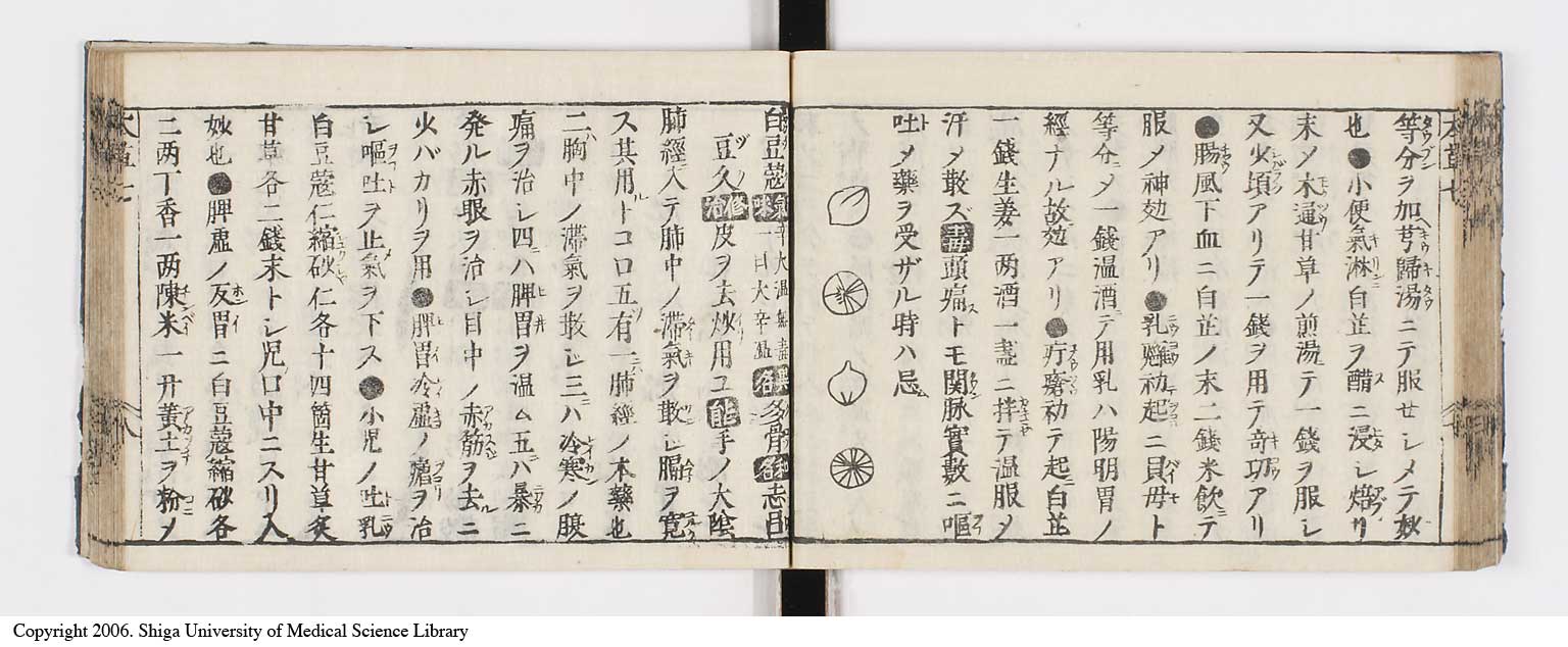 K0133l0263