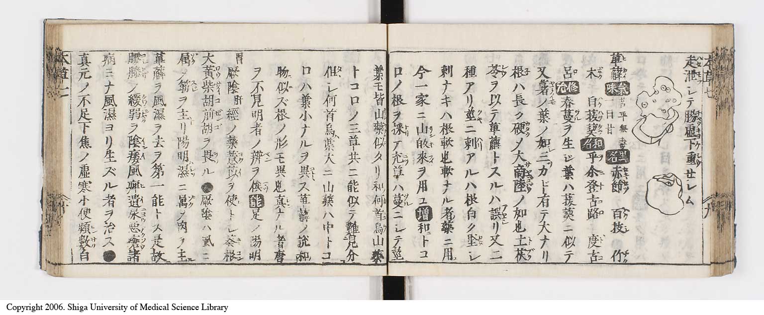 K0133l0265