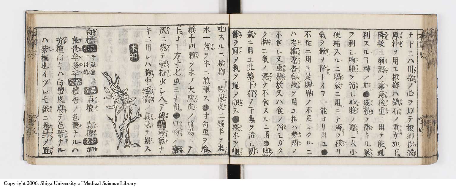 K0133l0270