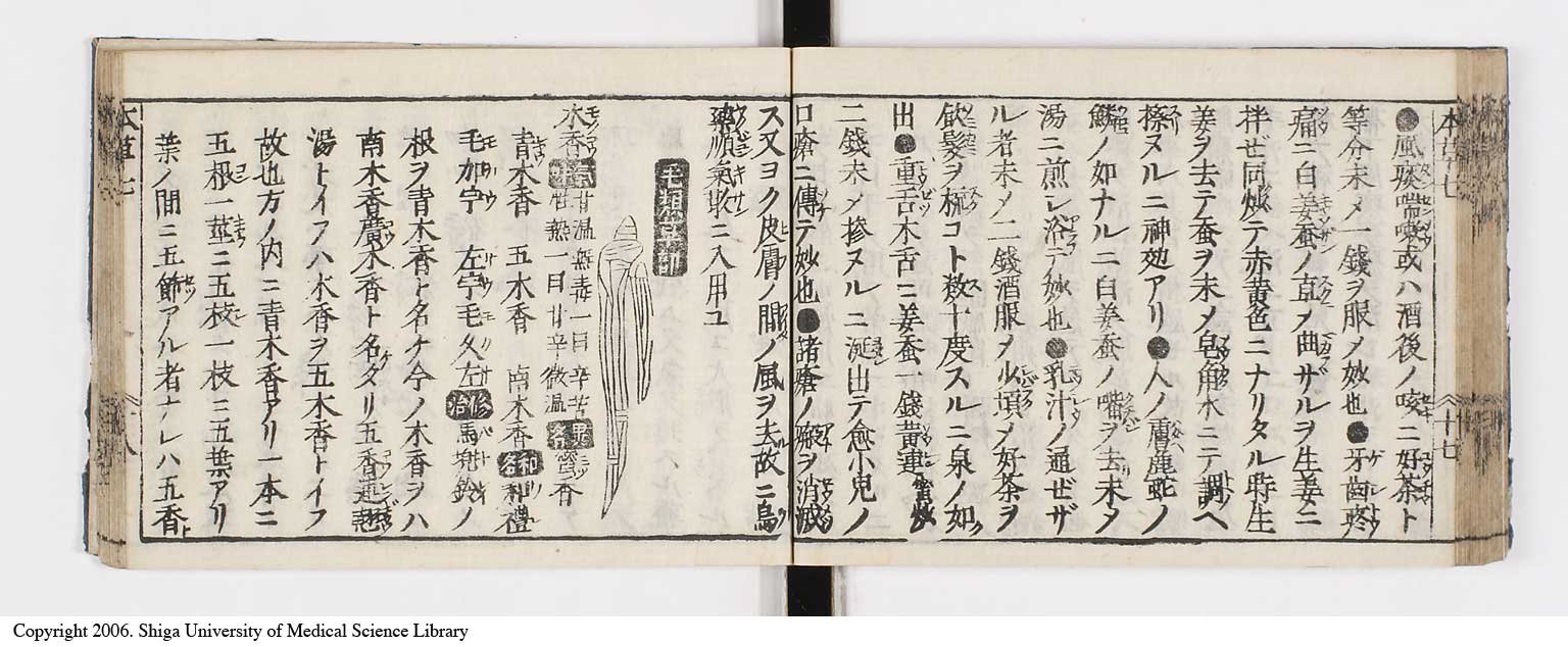 K0133l0273