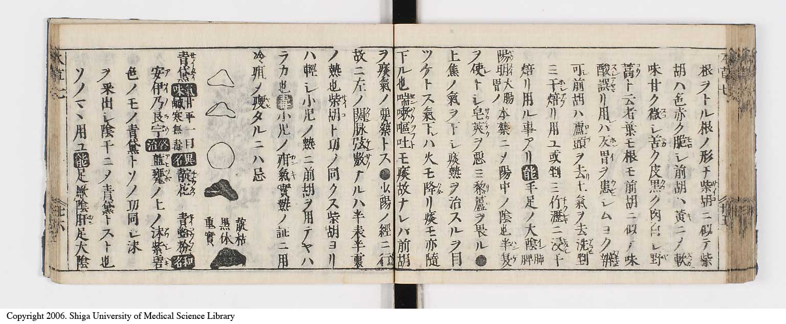 K0133l0281