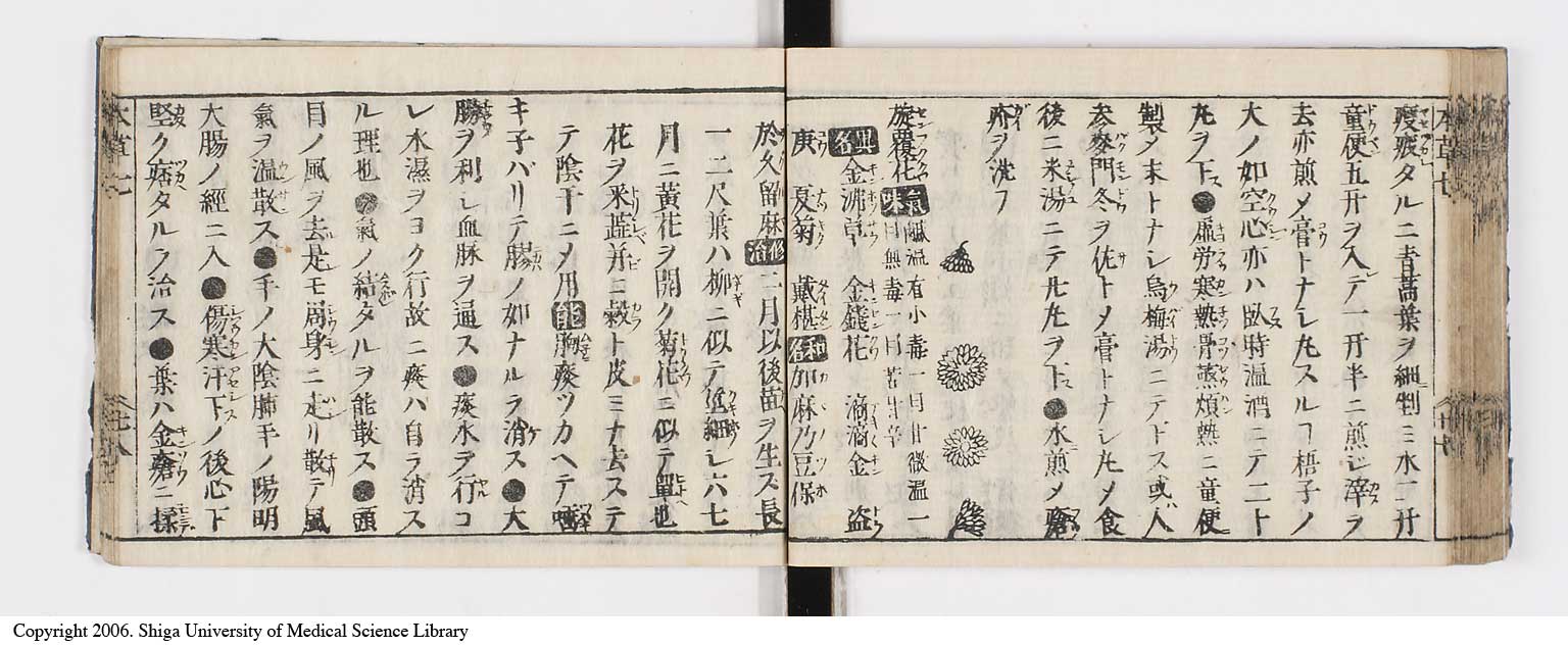 K0133l0283