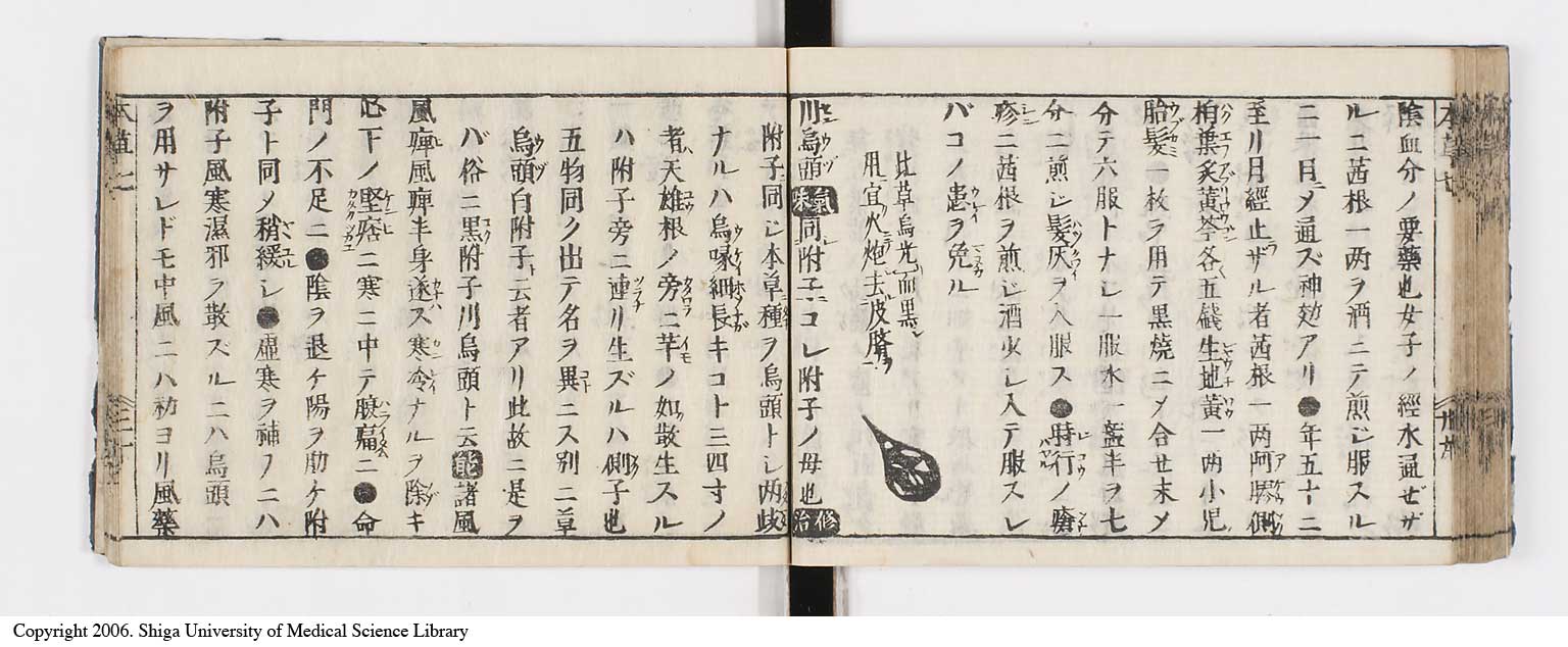 K0133l0285