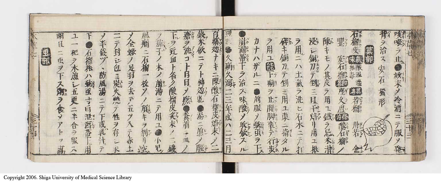 K0133l0289