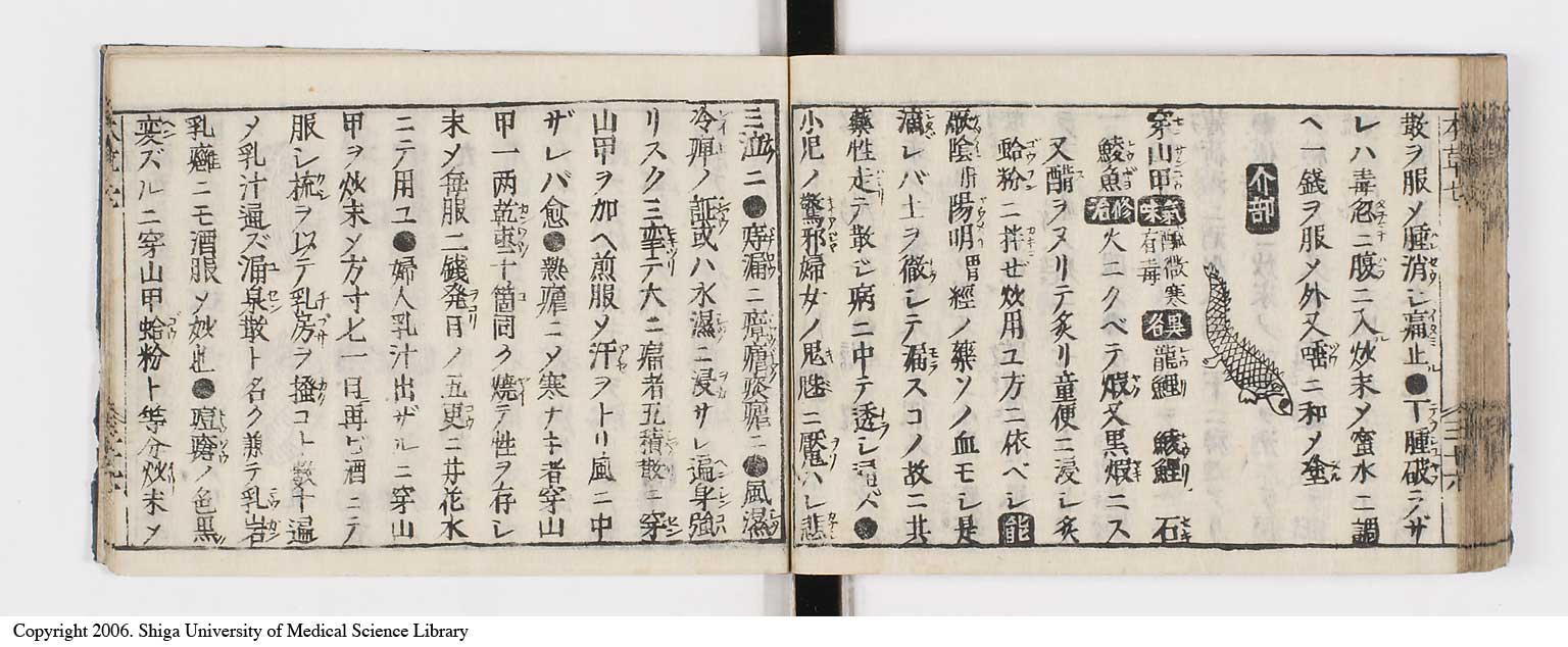 K0133l0292